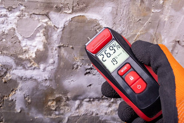 Best Best Mold Removal Companies  in Roseburg Nth, OR