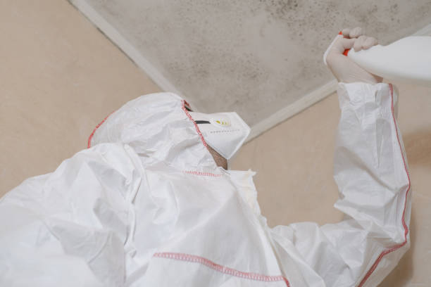Best Mold Remediation Services  in Roseburg Nth, OR